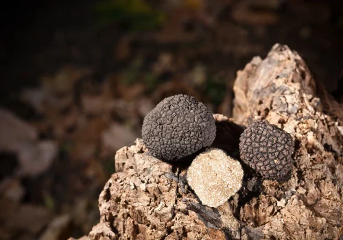 black-truffles-wood copia