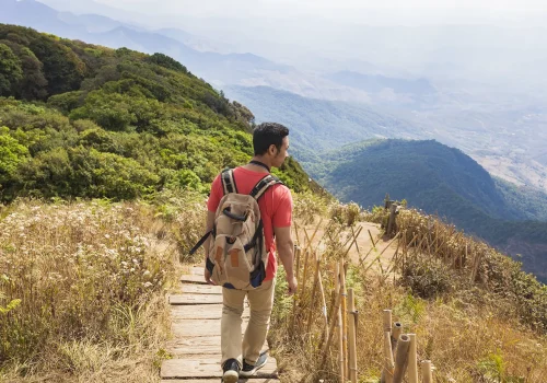 hiker-wooden-path-mountainous-region copia