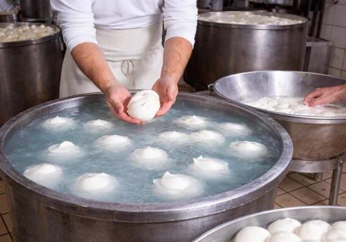 produrre-mozzarelle-italiaura