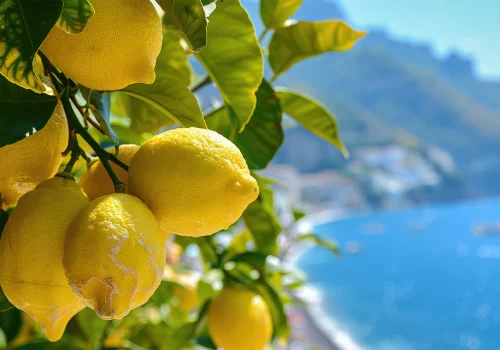 sorrento-limoni